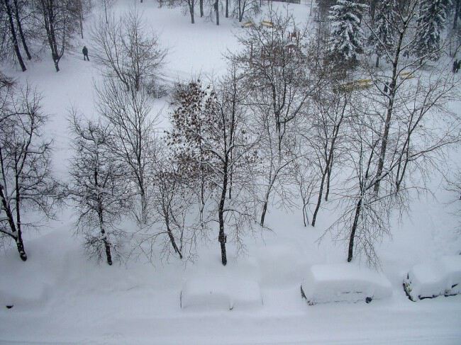 Настоящая зима в Москве