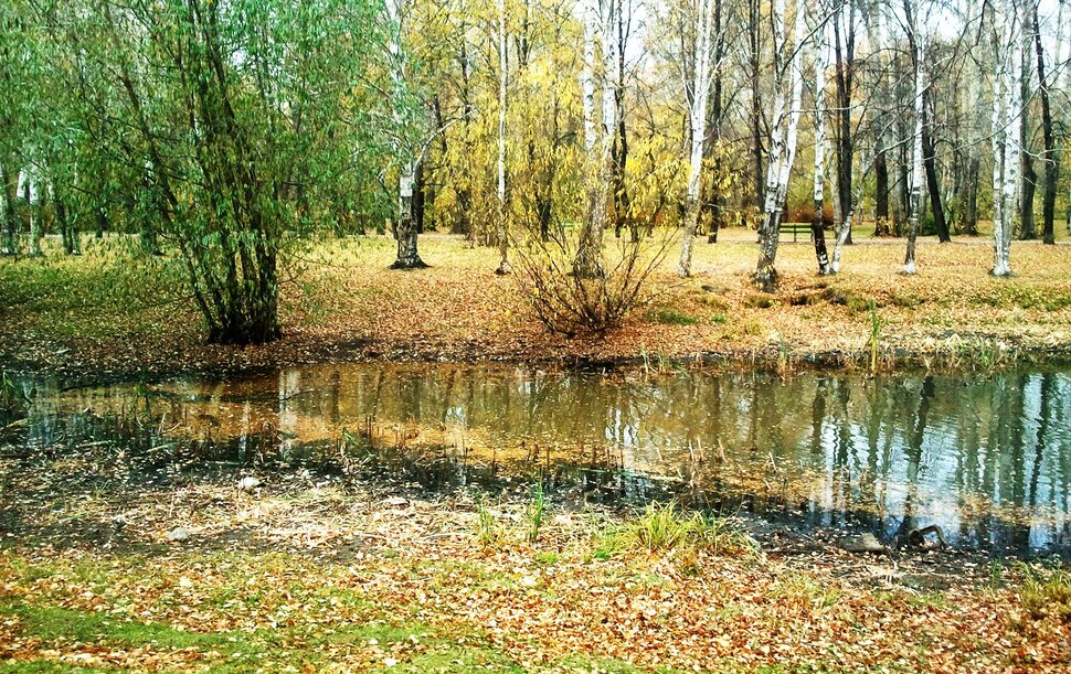 Осень