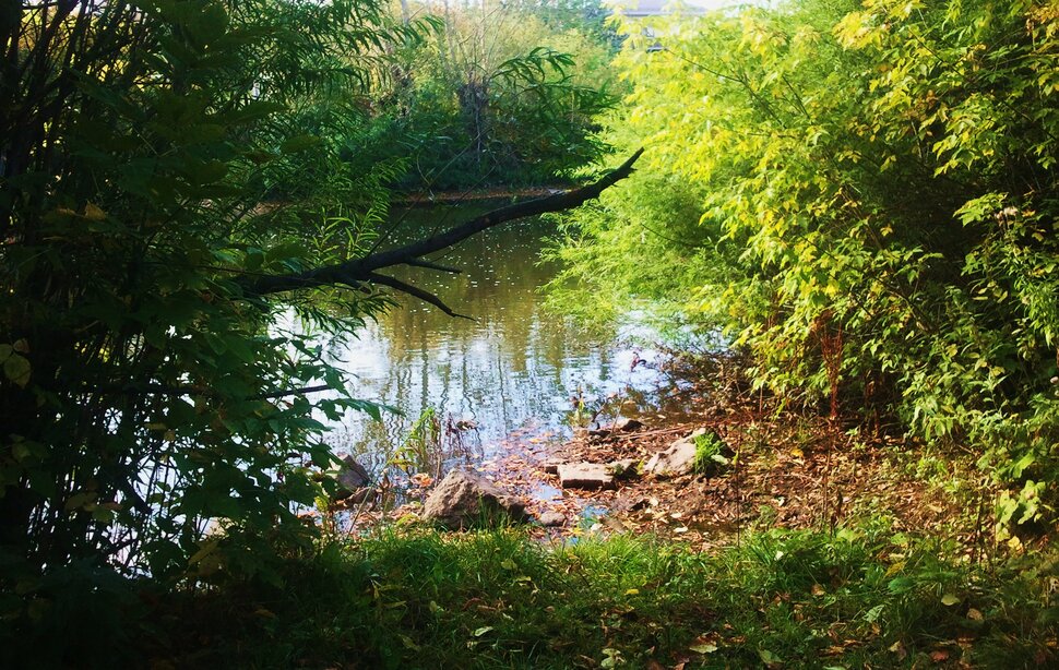 У реки