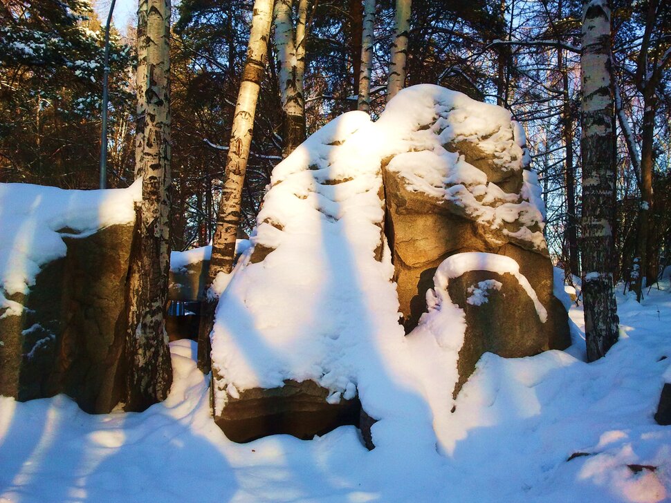 В парке в декабре