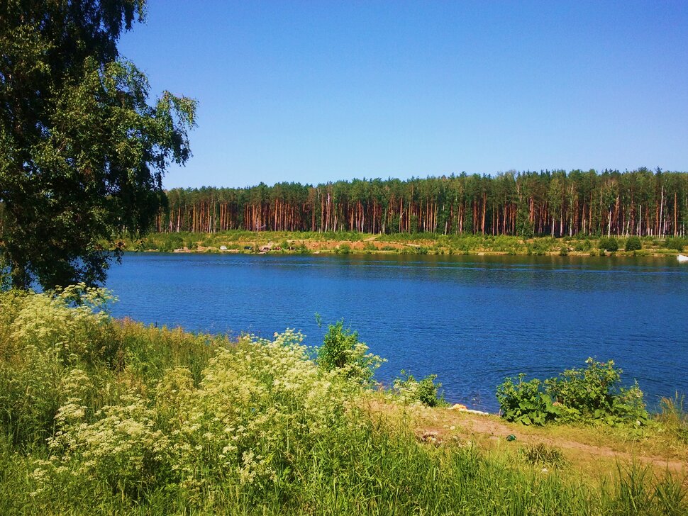У озера