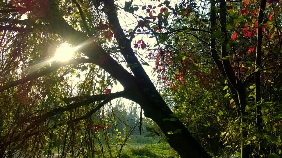 Осенняя картинка