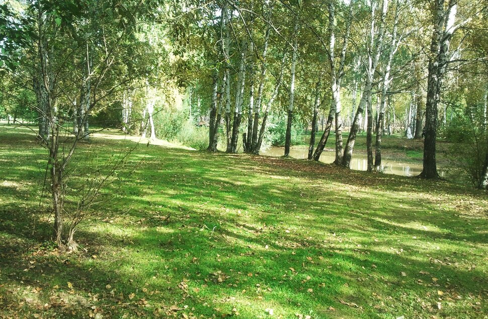 По лесочку