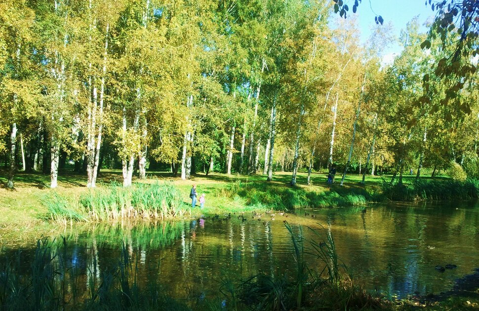 Сентябрь