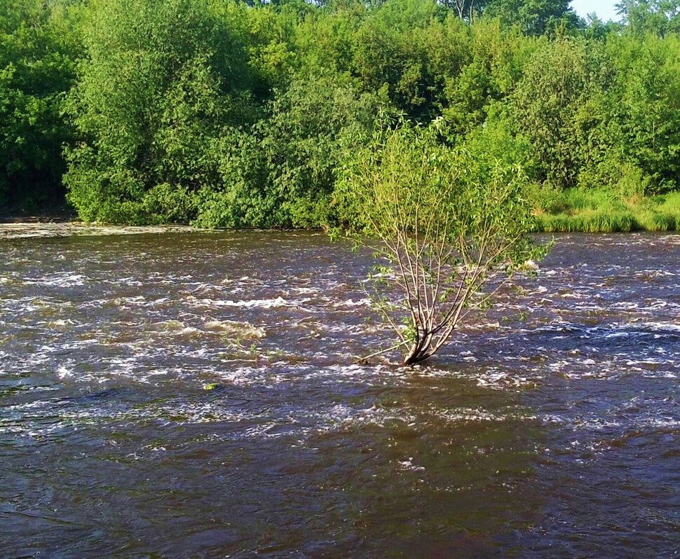 Так в воде и растем