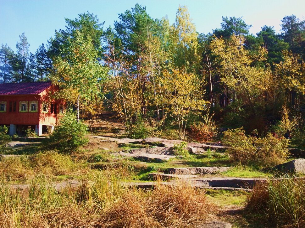 В осеннем лесу
