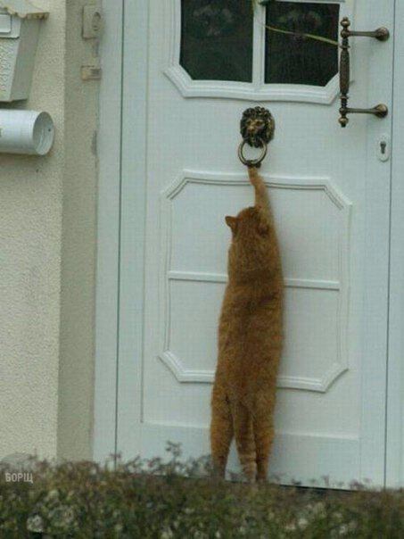 Не соблаговолите ли открыть мне дверь, сударь?
