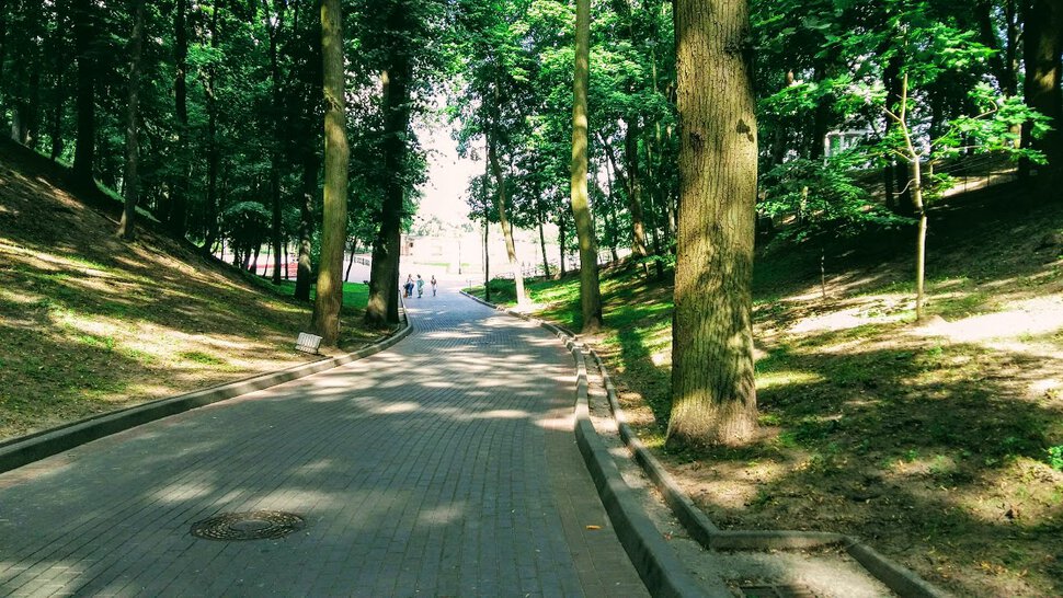 В тени аллей