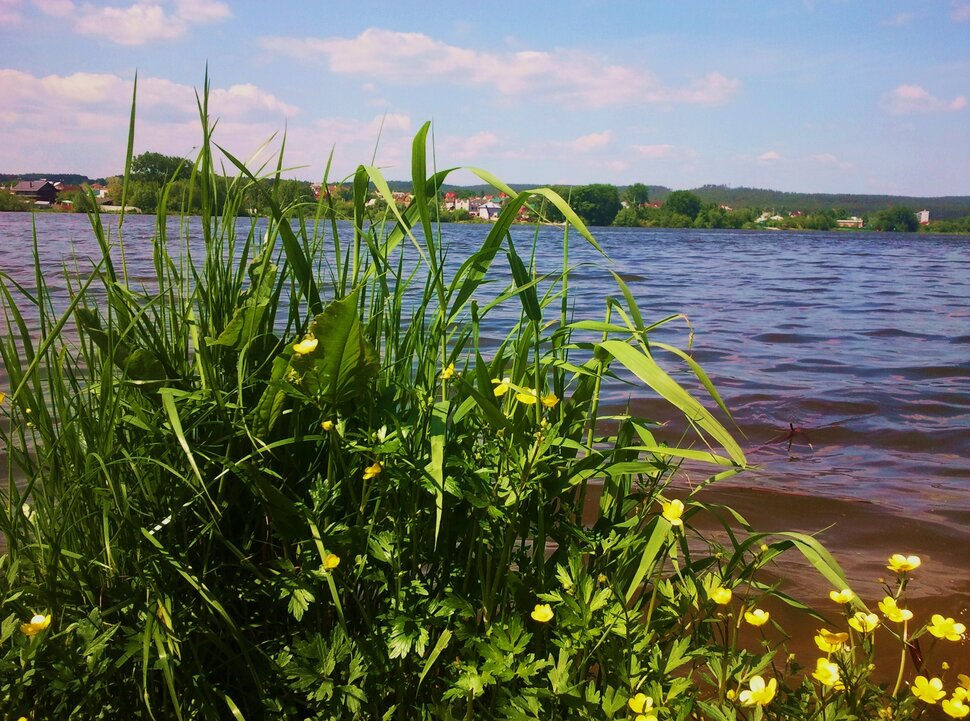 У реки