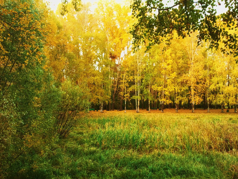 Осенний пейзаж