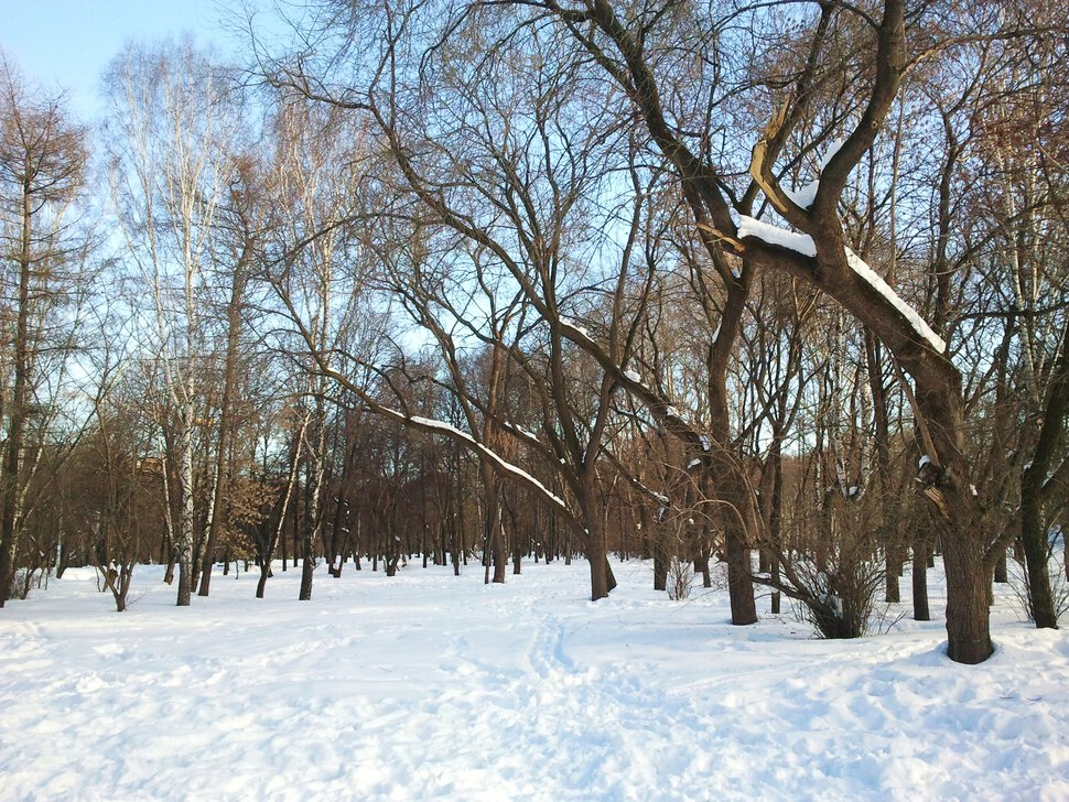 По зимнему бульвару