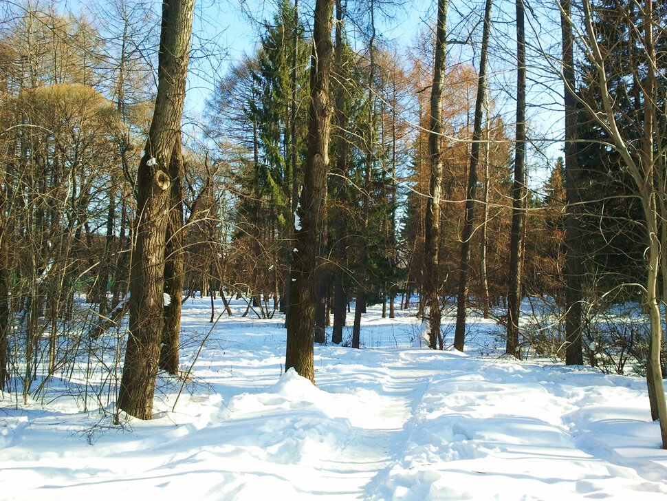 Снежок уже улегся