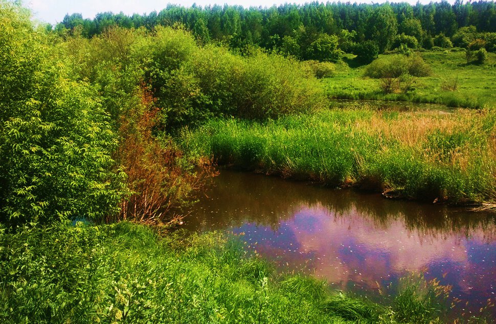 По полям и речушкам