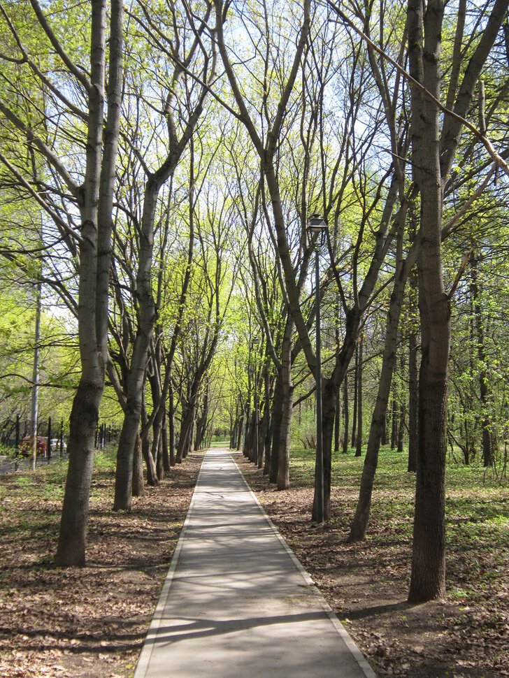 В весеннем парке