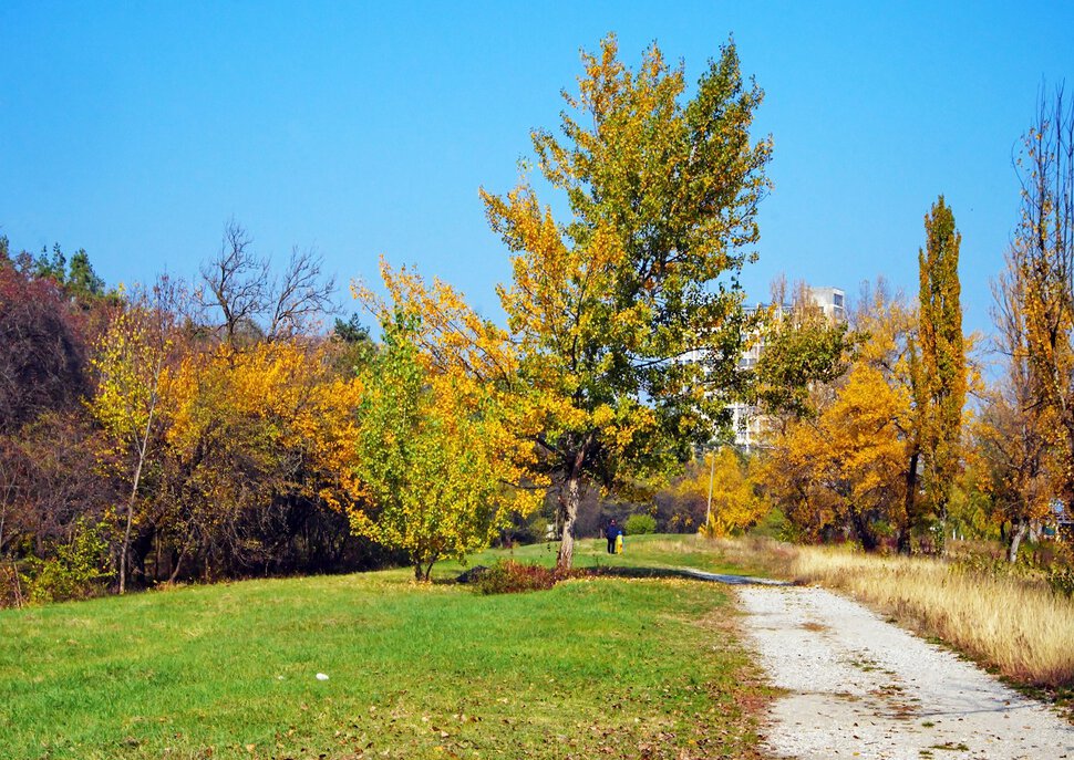 Бабье лето в разгаре