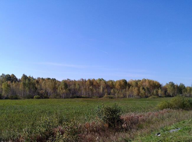 На природе