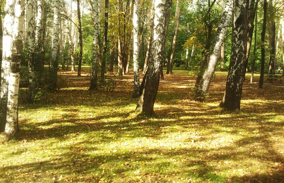 Сентябрь