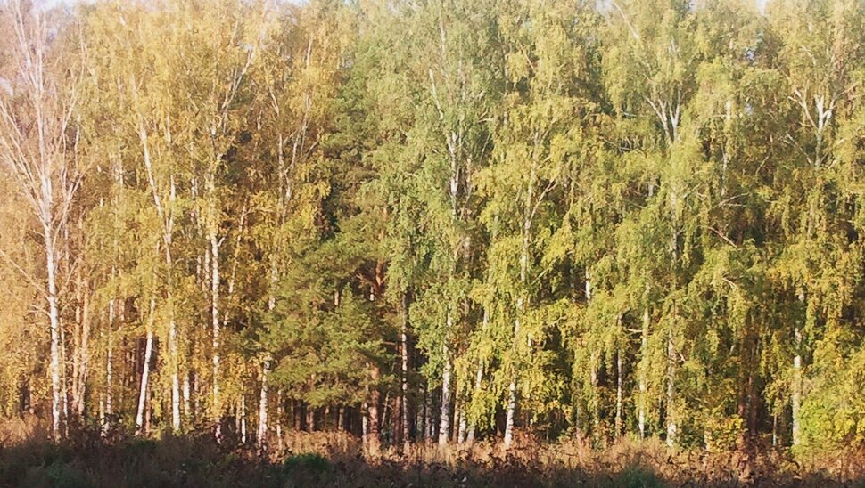 Осень