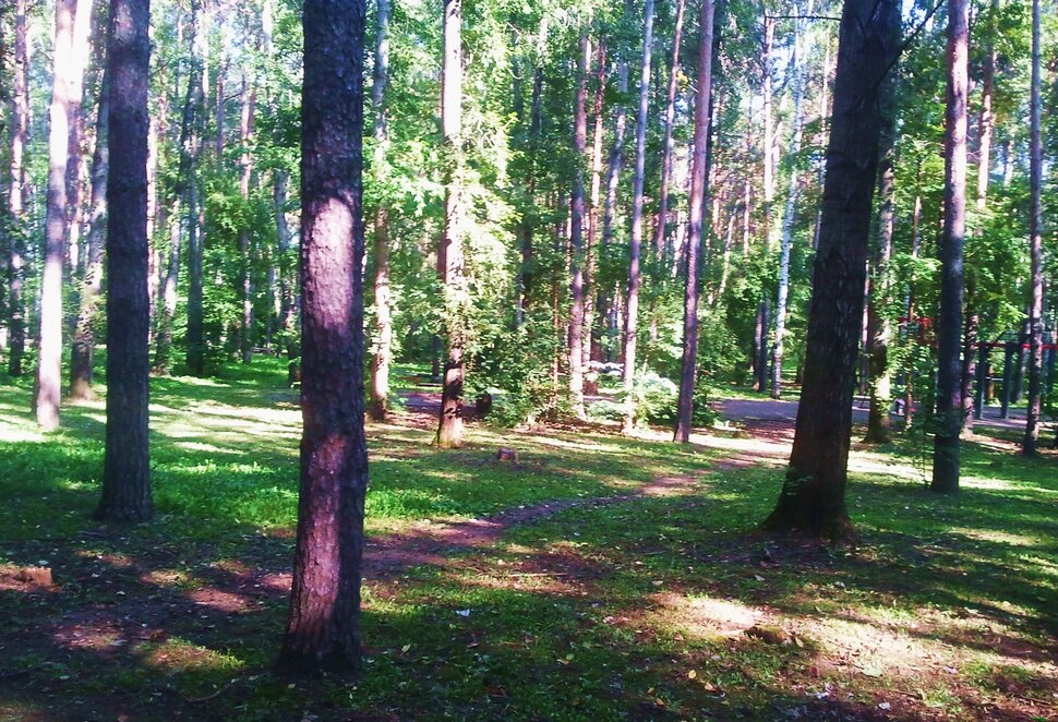По лесочку