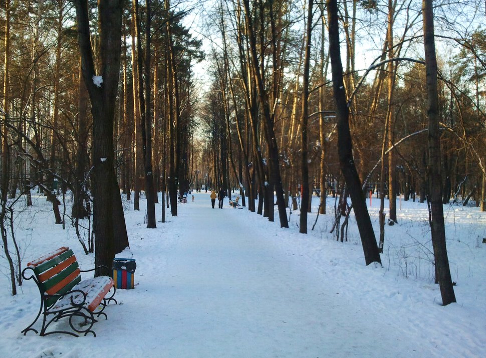 Уралмашевский парк в ноябре