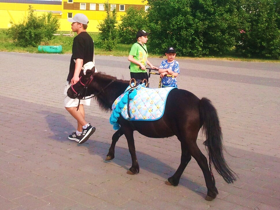 В парке летом