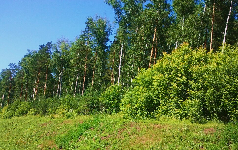 Июль