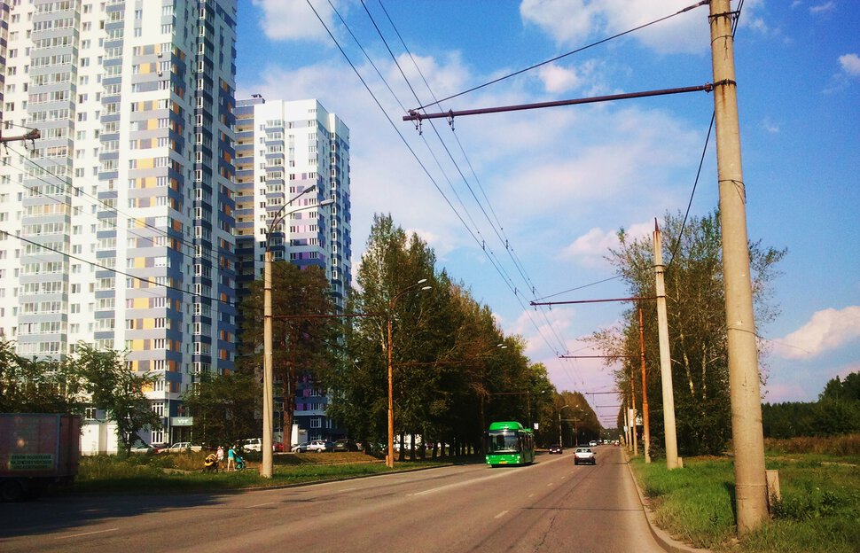 Между лесом и городом