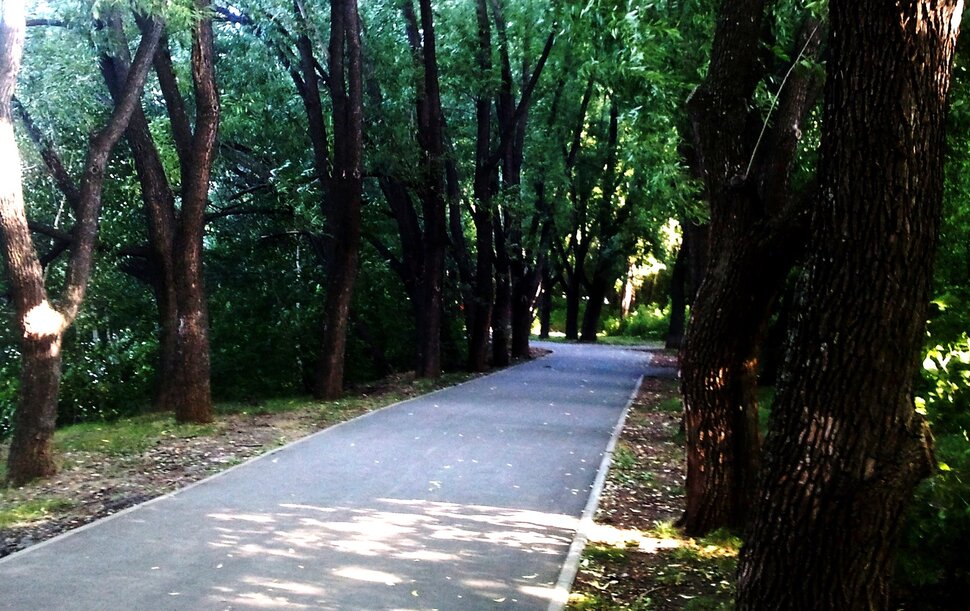По дорожке
