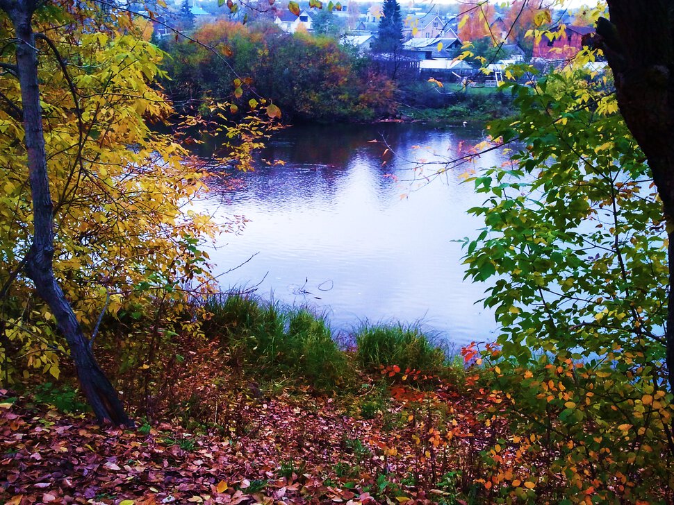 Поздней осенью у реки
