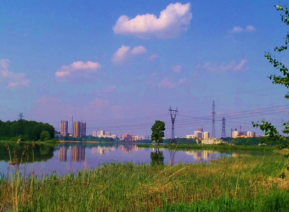 В июне у реки
