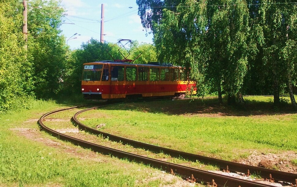 В лесочке