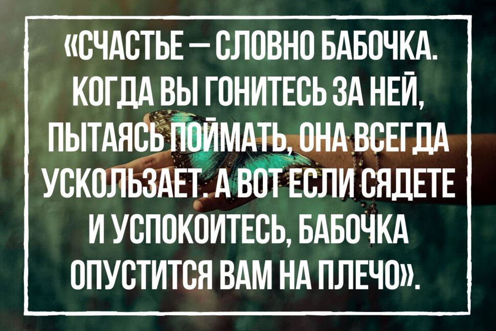 Цитата о погоне за счастьем