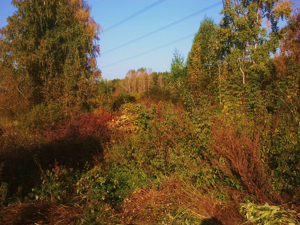 Осень