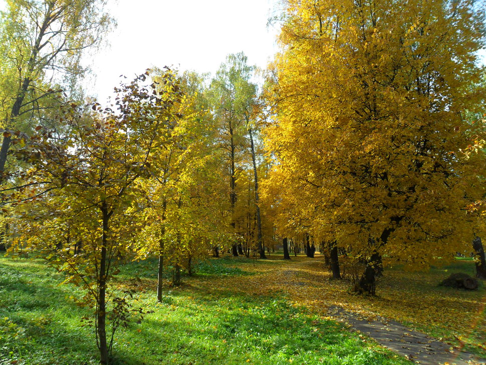 В осеннем парке Барыши