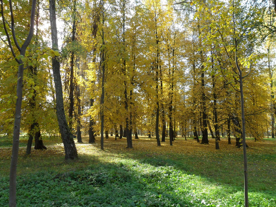 В осеннем парке Барыши