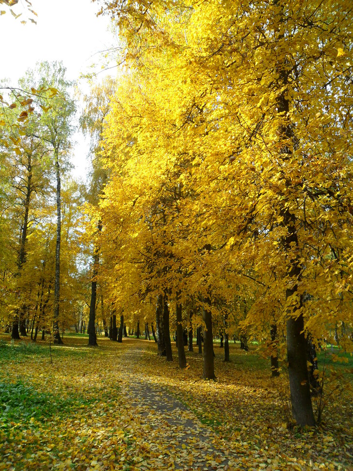 В осеннем парке Барыши