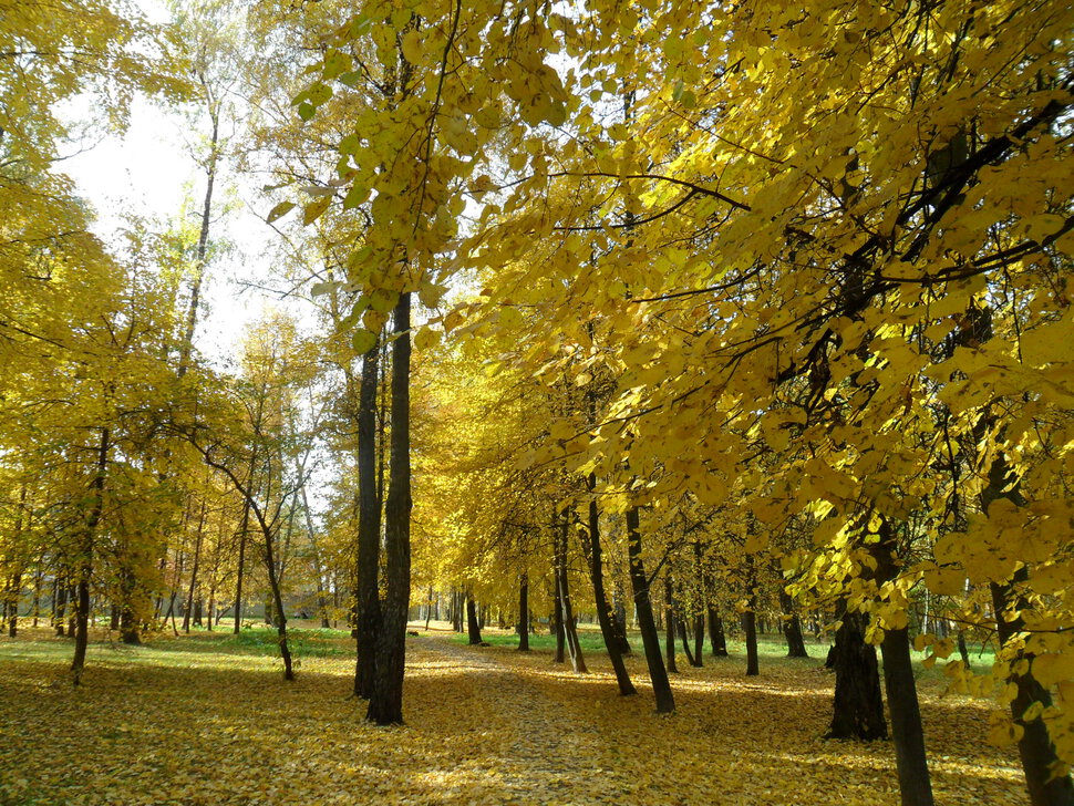 В осеннем парке Барыши