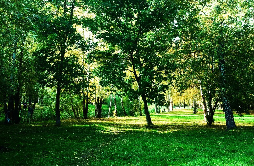 В сентябре всё еще зелено