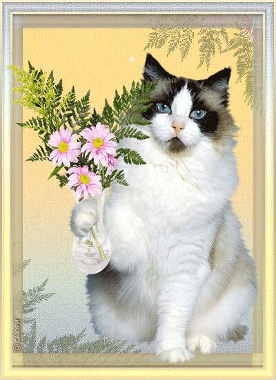 красивый кот с цветами