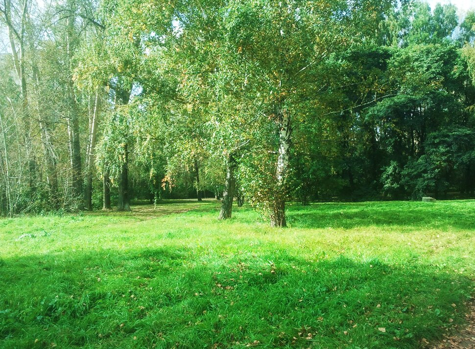 По лесочку