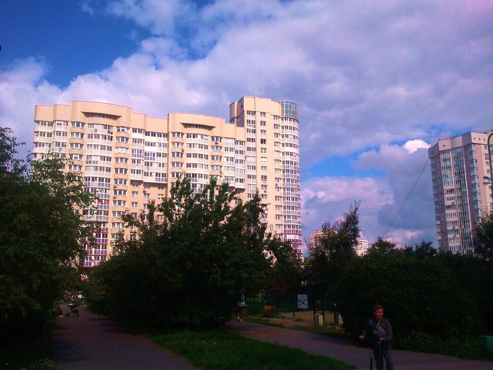 Летом в парке
