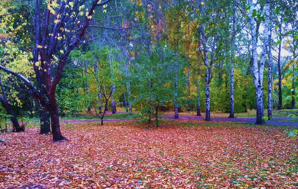 Осень