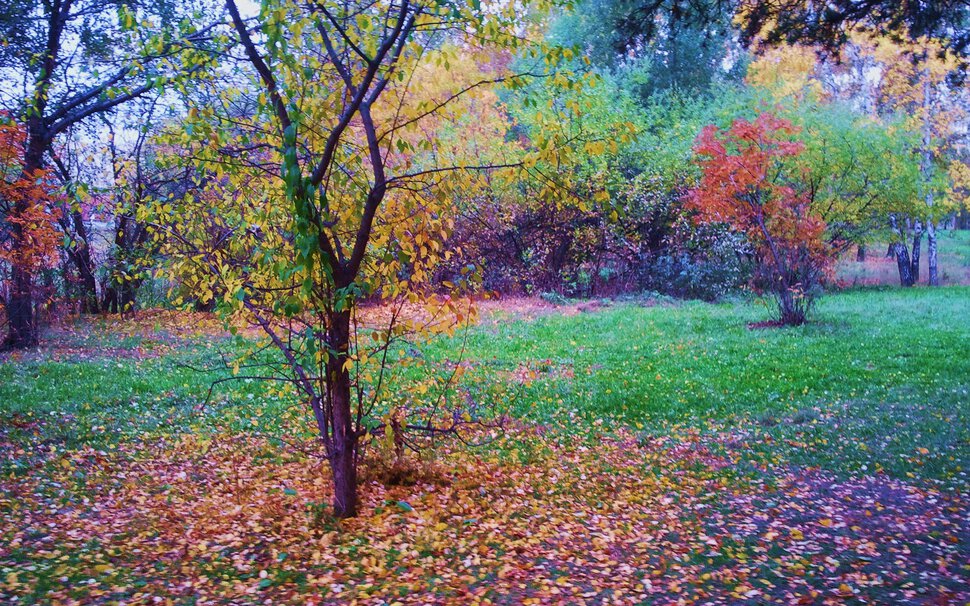 Осенняя красота