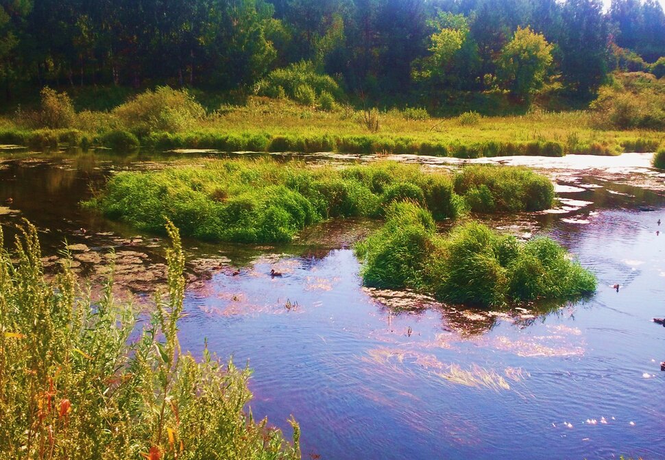 У реки