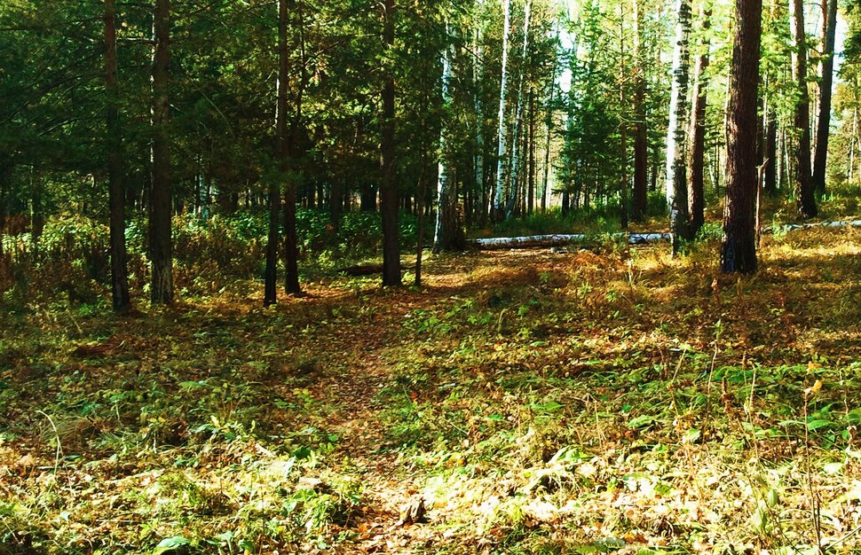 В октябре еще тепло