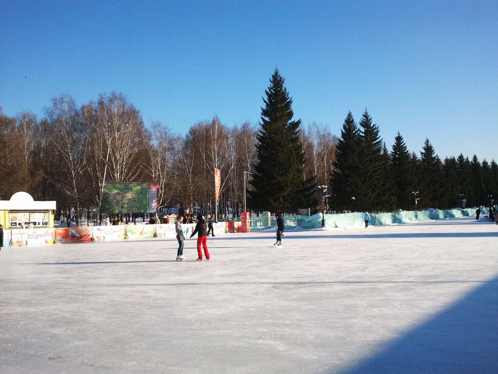 Зимой в парке