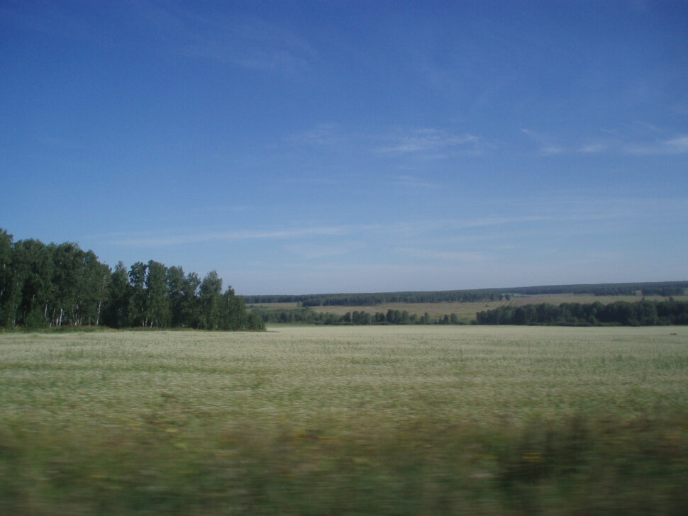Белое поле