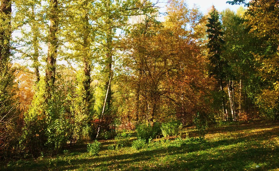 На склоне