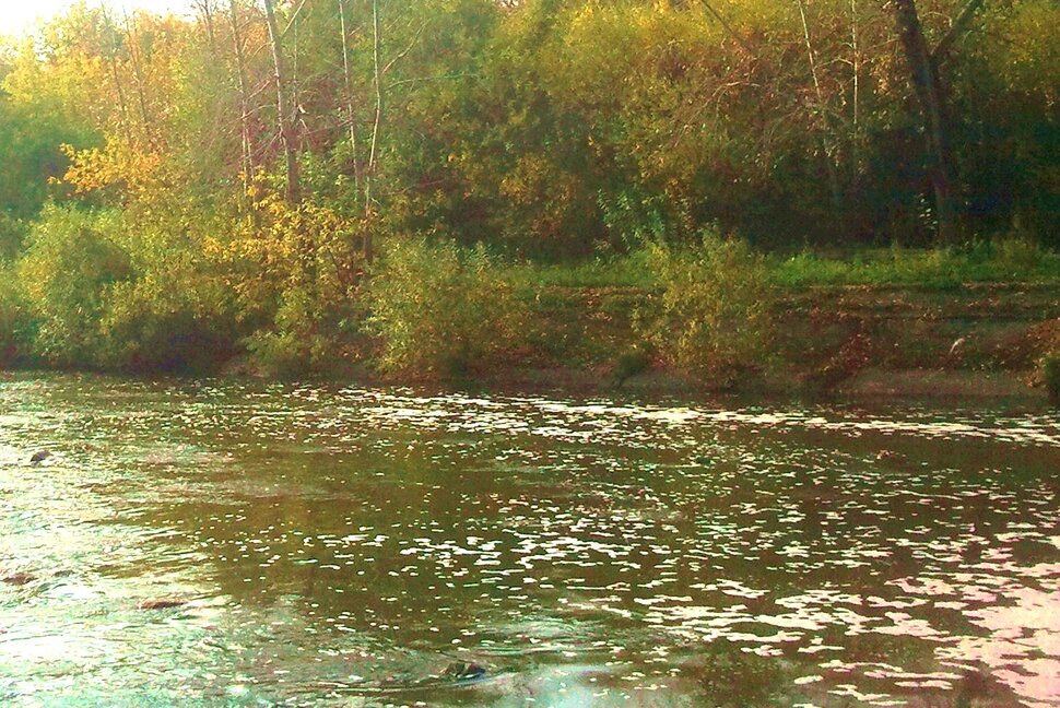У реки