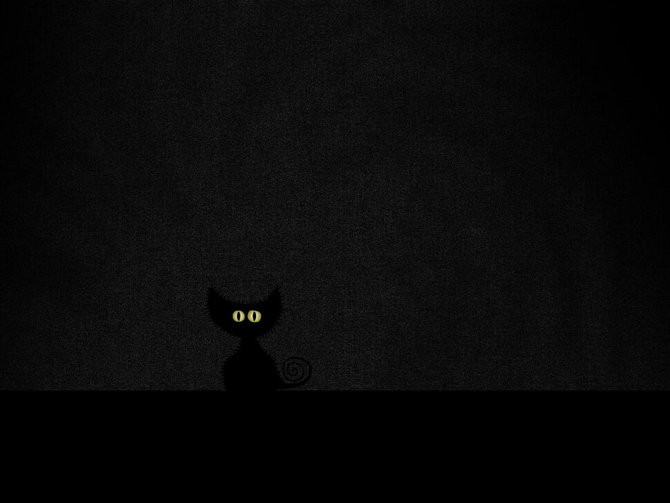 Черная кошка в черной комнате